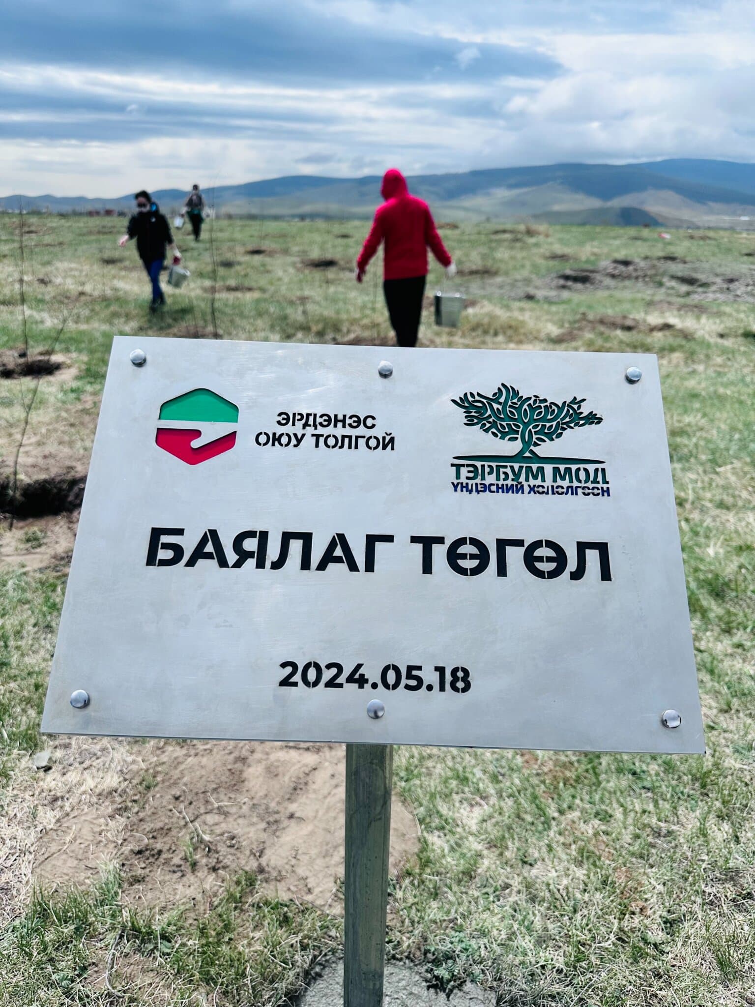 “Эрдэнэс Оюу Толгой” ХХК 7000 орчим мод тарьжээ