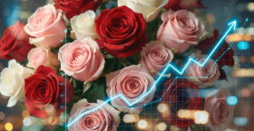 >Сарнайгаар хэмжих эдийн засаг