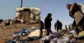 >Ядуурал буурсан уу?