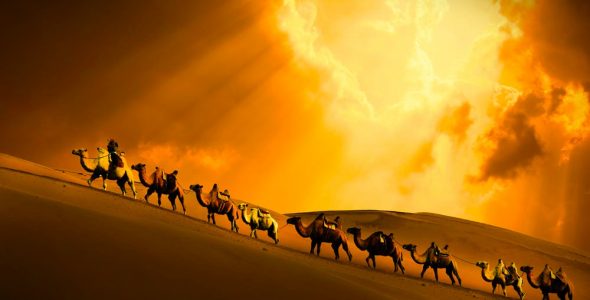 >Түүх тээсэн тэмээн жингийн цуваа