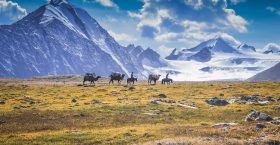 >Газраа үр хойчдоо бүтнээр нь үлдээмээр байна