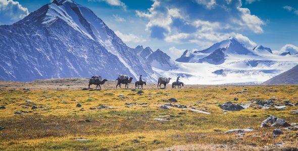 >Газраа үр хойчдоо бүтнээр нь үлдээмээр байна