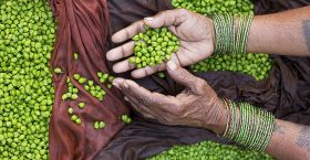 >Хүнсний хомсдолоос дэлхийн экспортлогч