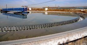 >Саарал усны ашиг