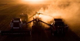 >Тариаланчдад 130 тэрбум төгрөгийн татаас олгоно