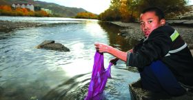 >Ангамал дэлхийн цангамал Монгол болох гэж үү?