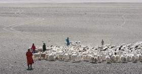 >Нүүдэлч монголчуудын эцсийн нүүдэл