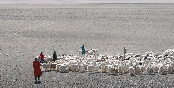 >Нүүдэлч монголчуудын эцсийн нүүдэл