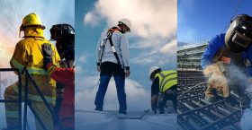 >Улс орны хүч - эрчүүд